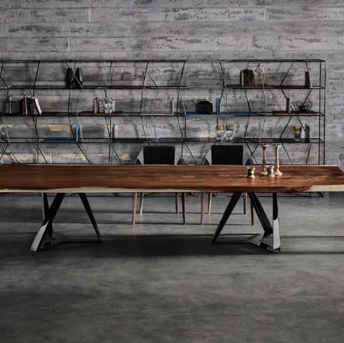 Libreria Lexington di Bontempi